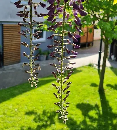 Daire Ferienapartment Mia *